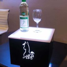 Cubix LED Side Table w/ Equine Logo