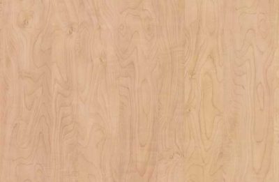 WM221-AMBER-CURLY-MAPLE-1